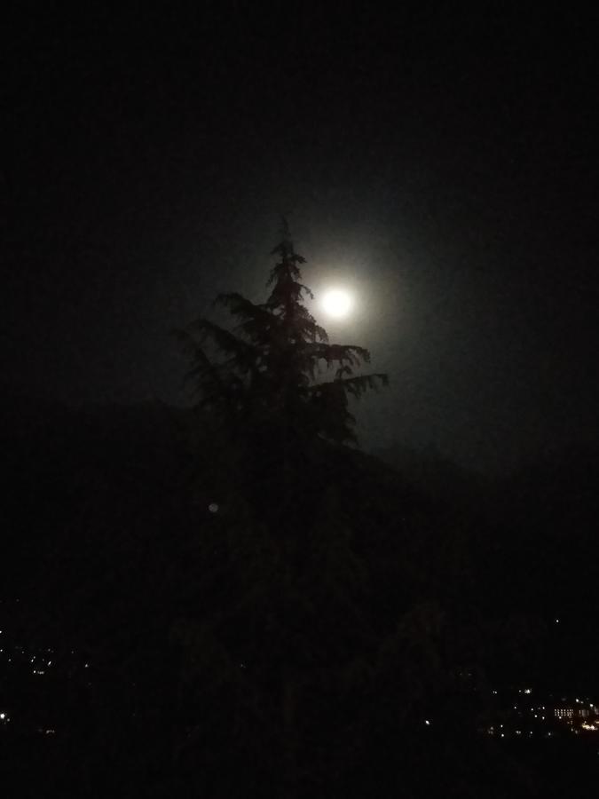 Hotel Seven Hills Manali Exterior foto
